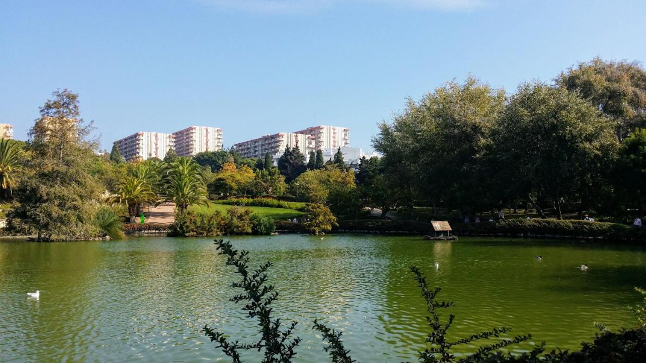 Minerva Apartment Wonderful Sea Views 贝纳尔马德纳 外观 照片